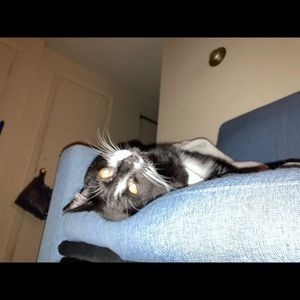 Meet your Posher, Phillip